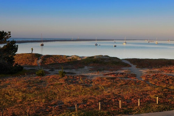 Beach House Half Moon Bay image 19